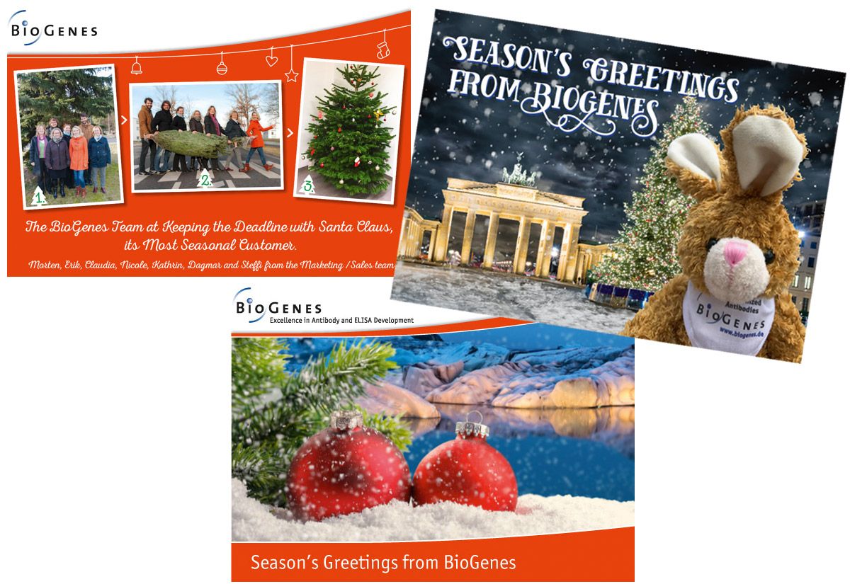 BioGenes Marketingkommunikation Weihnachtsaktionen